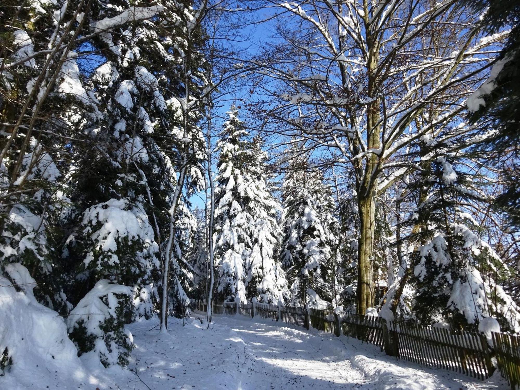 Holiday Home In Lossburg Near The Ski Area ภายนอก รูปภาพ