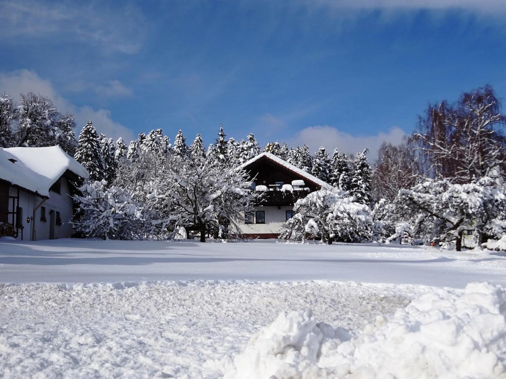 Holiday Home In Lossburg Near The Ski Area ภายนอก รูปภาพ